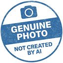 This image has an empty alt attribute; its file name is genuine-photo-not-created-by-ai-v2a-128x128-1.jpg