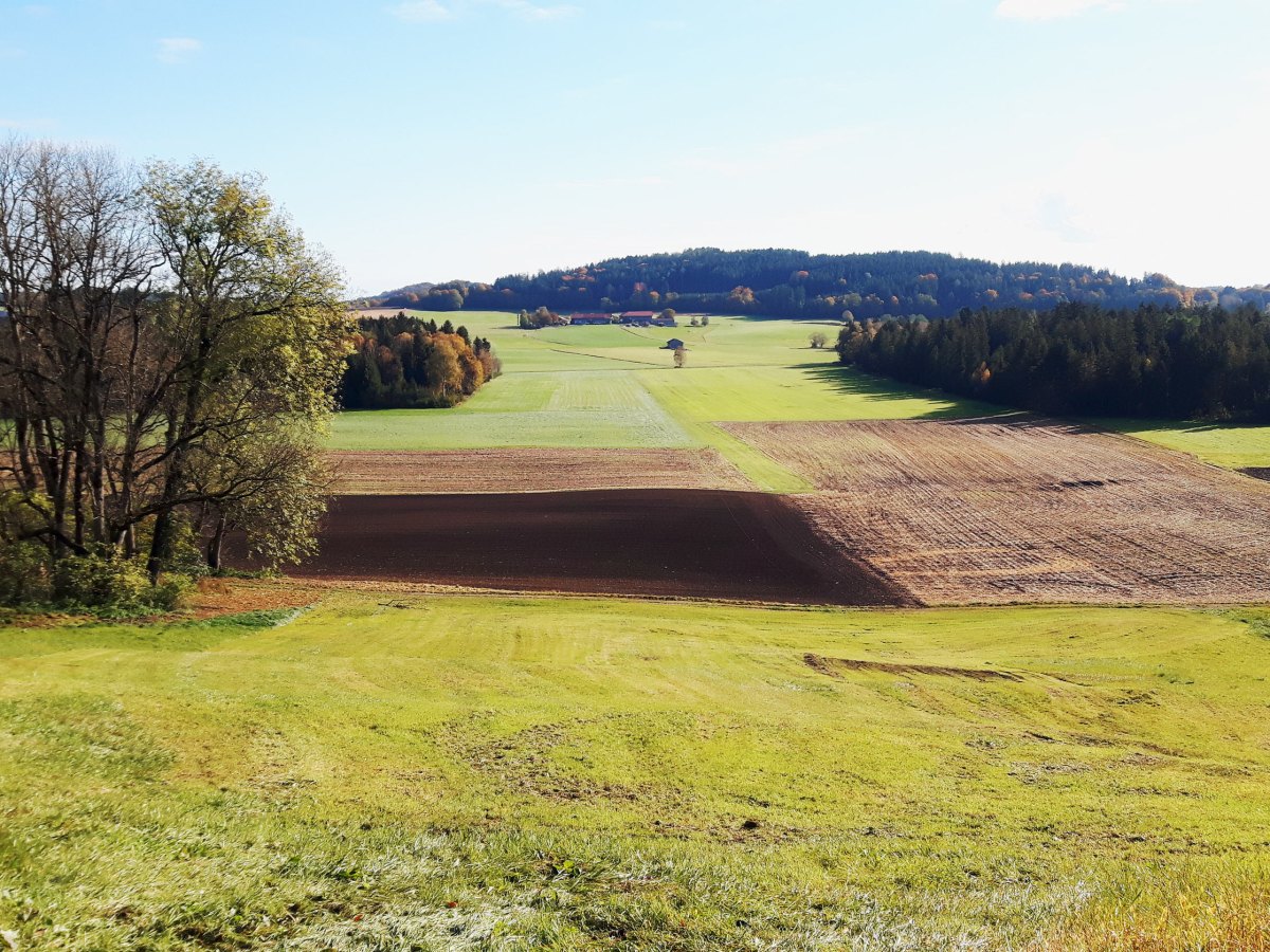 Berganger, Bavaria (III)
