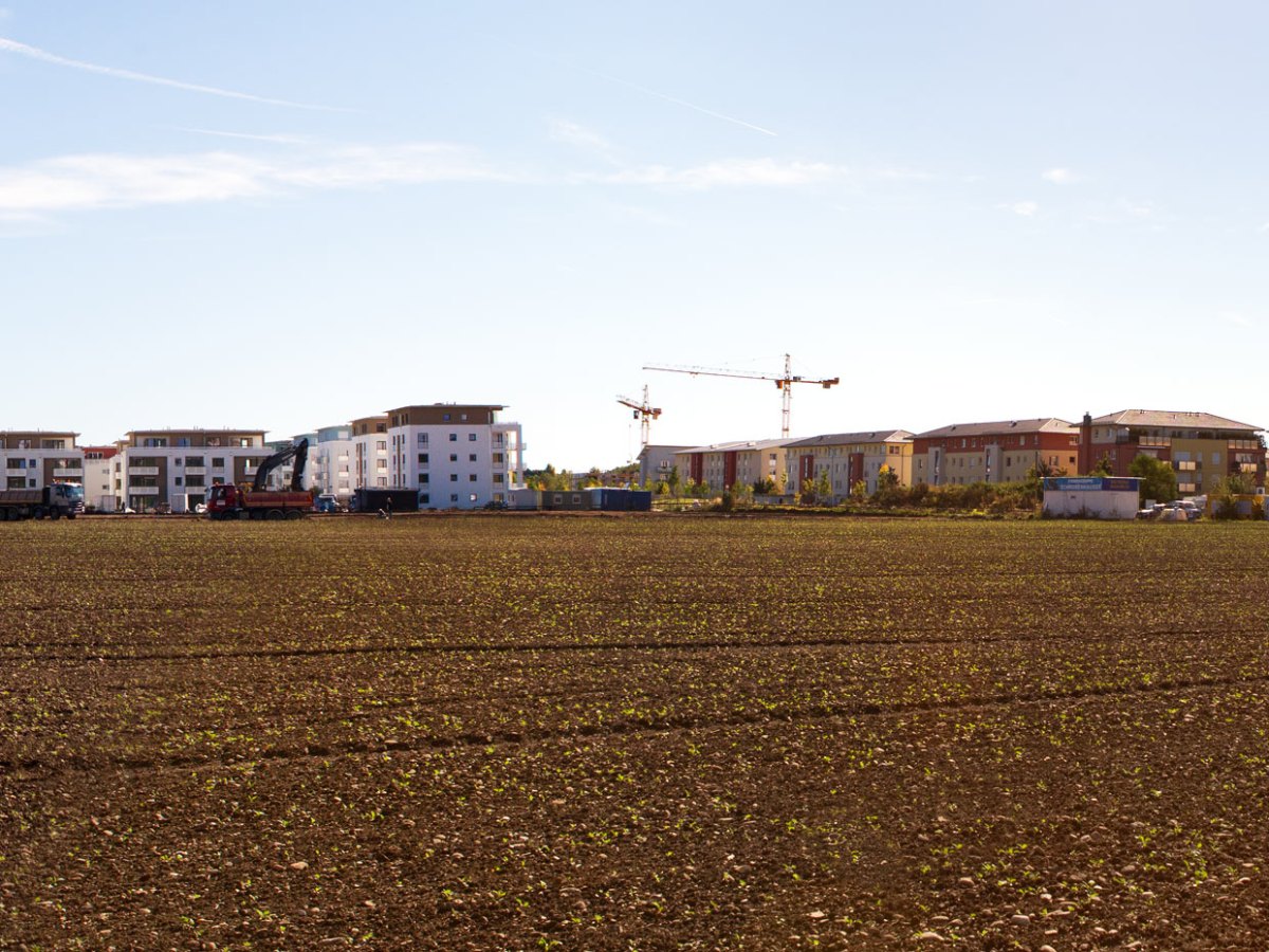 Stumpfwiese, Unterhaching, Germany,&nbsp;2012