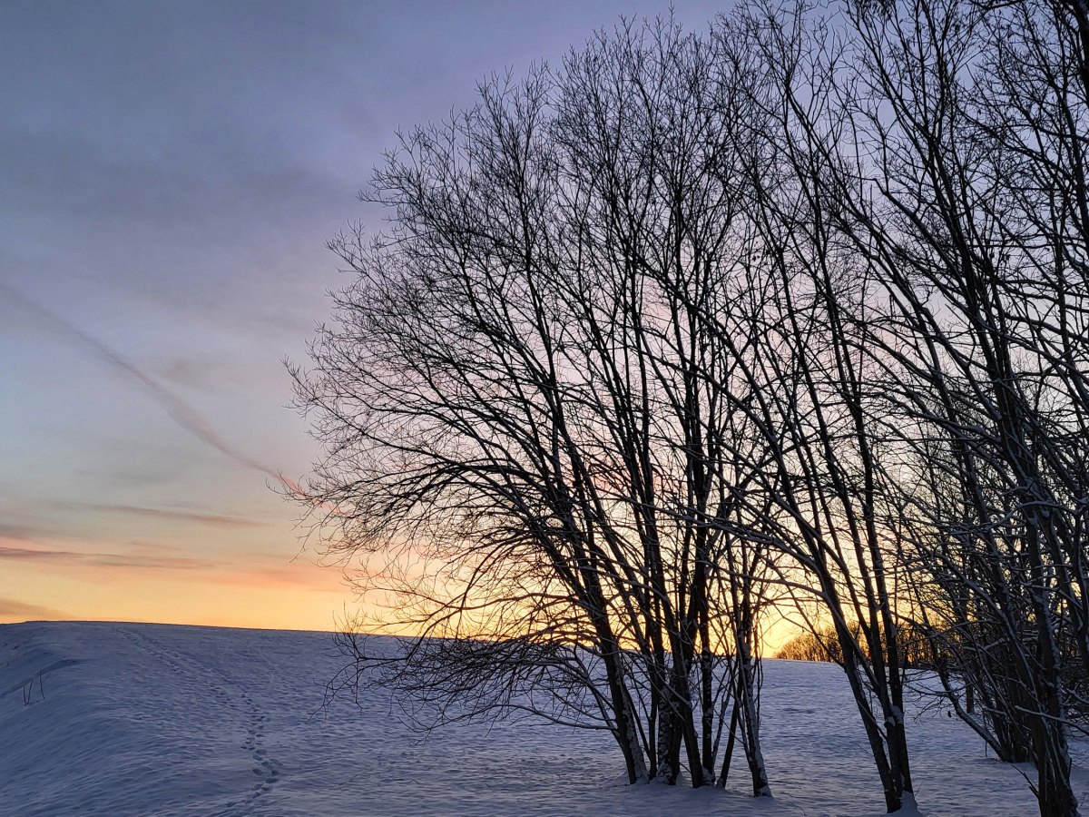 Snow, Unterhaching, Germany