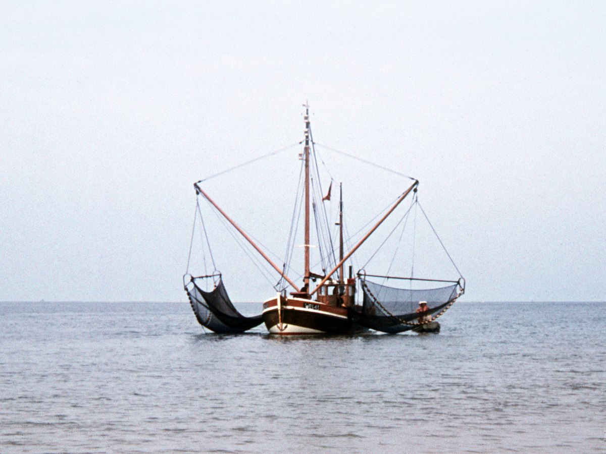 WES 43, Langeoog, Germany,&nbsp;1964