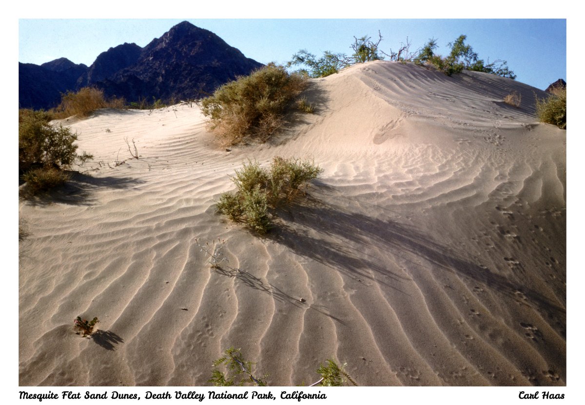 Mesquite Sand Dunes, Death Valley, California,&nbsp;1958