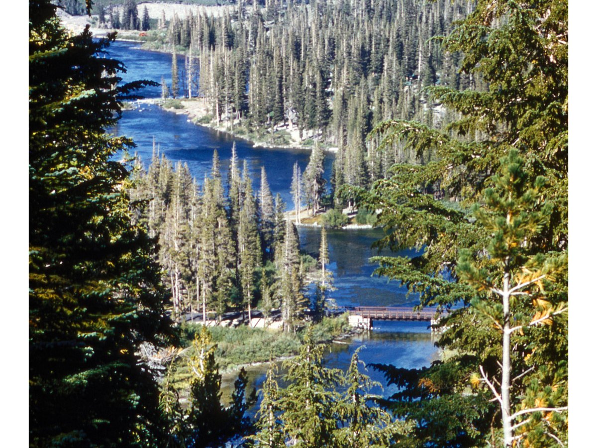 Twin Falls Overlook, California,&nbsp;1958