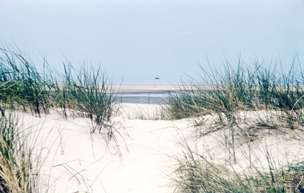 Beach Dunes, Langeoog, Germany,&nbsp;1964