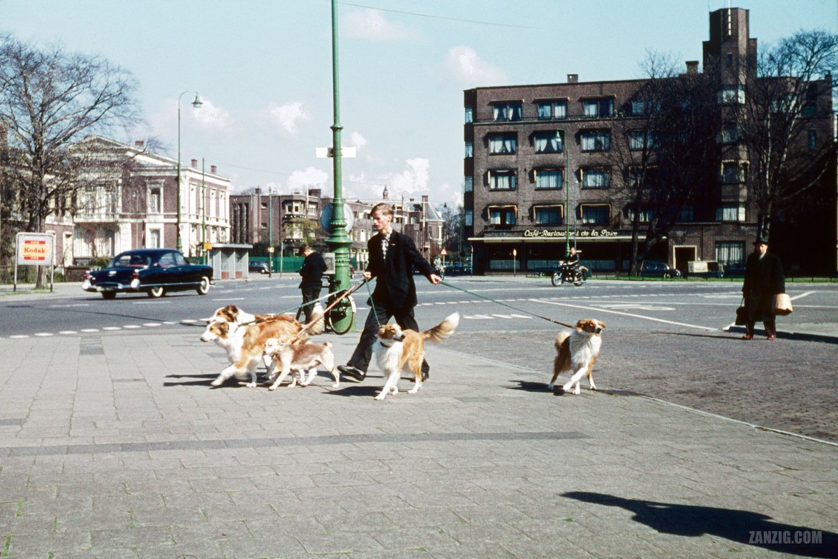 Carnegieplein, Den Haag, The Netherlands,&nbsp;1959