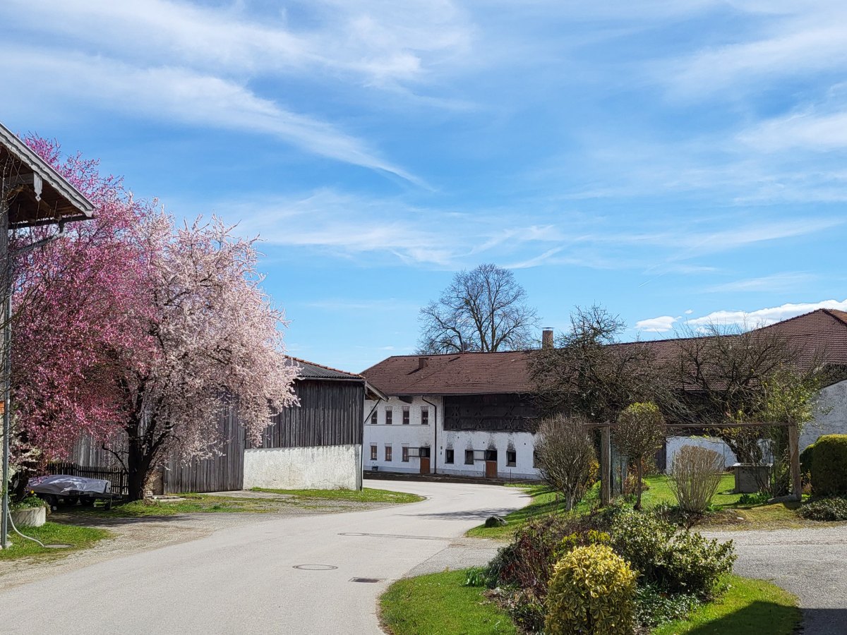 Spring, Germany, 2026&nbsp;(II)