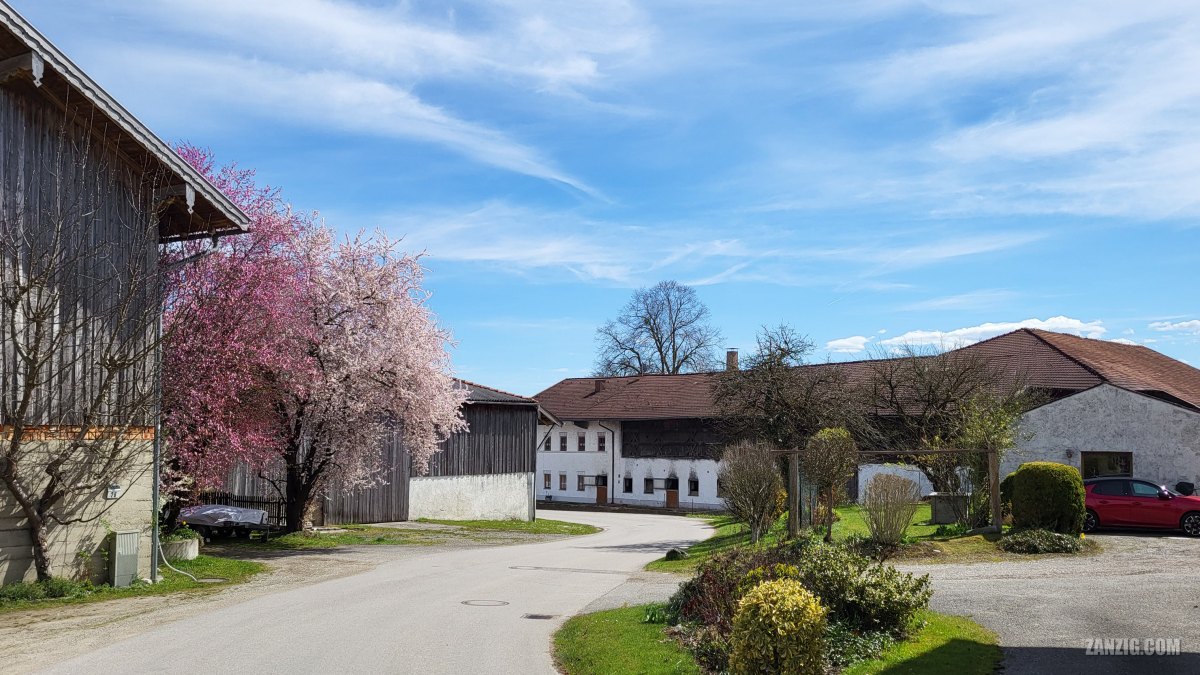 Spring, Germany, 2026&nbsp;(II)