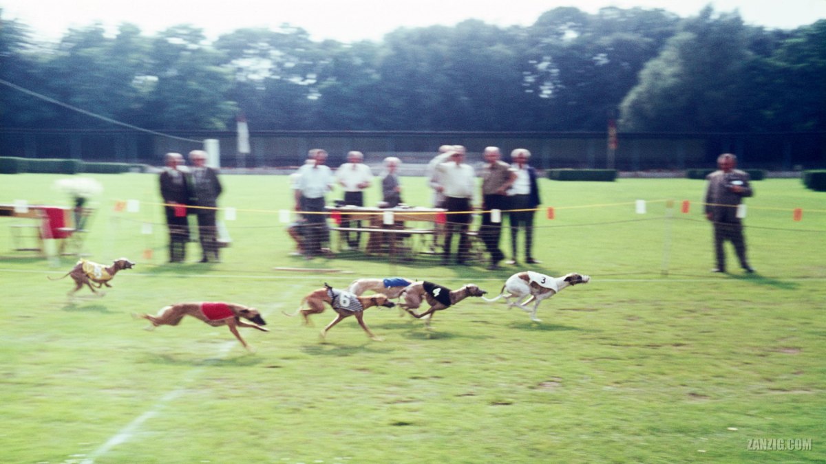 A Day At The Races,&nbsp;1960s
